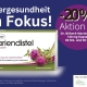 Dr. Böhm Mariendistel im September um 20 % günstiger!